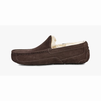 Chinelos UGG Ascot Homem Marrom | PT-WVNFX